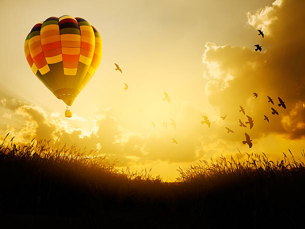 istock Hot air balloon flying with birds in sunset sky, 508292932