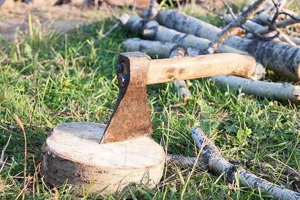 Tourist ax stuck in stump Tourist ax stuck in stump on a background of green grass fuelwood stock pictures, royalty-free photos & images