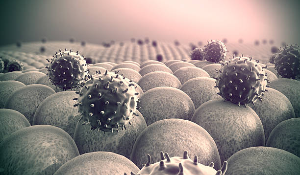 ไวรัส เซลล์ - animal pancreas ภาพสต็อก ภาพถ่ายและรูปภาพปลอดค่าลิขสิทธิ์