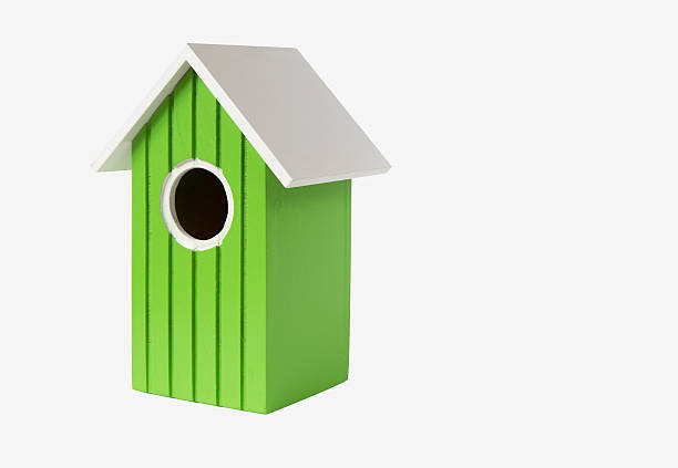 green ninho de casa para casa de pássaros de aves - birdhouse birds nest box isolated - fotografias e filmes do acervo