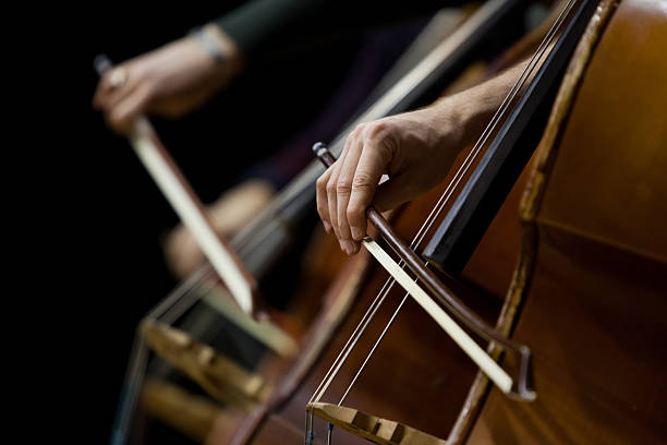 Hand of a man playing the contrabass