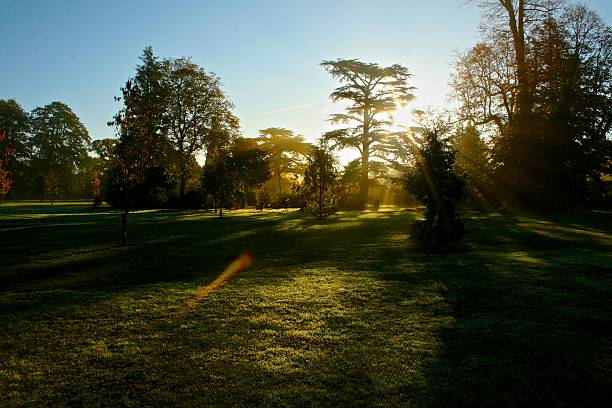 istock Grand Morning Sunrise 508296355
