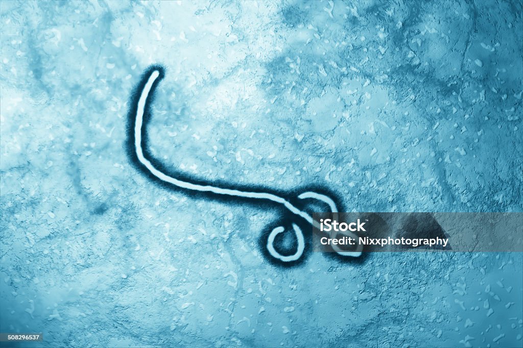 Ebola-Virus - Lizenzfrei Ebola Stock-Foto