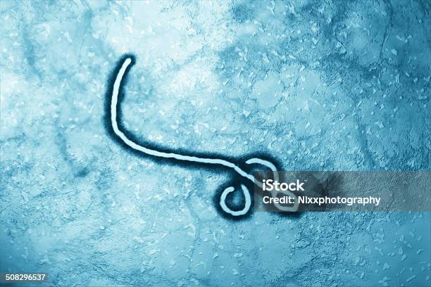 Ébola Virus Foto de stock y más banco de imágenes de Ébola - Ébola, Virus, Bacteria