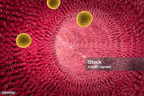 Artéria Colesterol - Fotografias de stock e mais imagens de Sangue - Sangue, Ácido gordo, Tecido humano