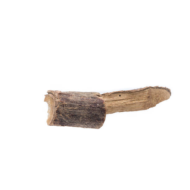 istock Dried Herbs,Cassia alata ( L.) Roxb.,Ringworm Bush,Leguminosae 508298241