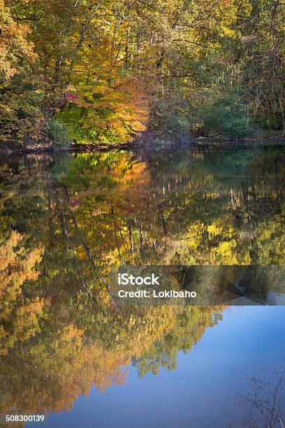 Herbst See Reflektionen Stockfoto und mehr Bilder von Ahorn - Ahorn, Baum, Blatt - Pflanzenbestandteile