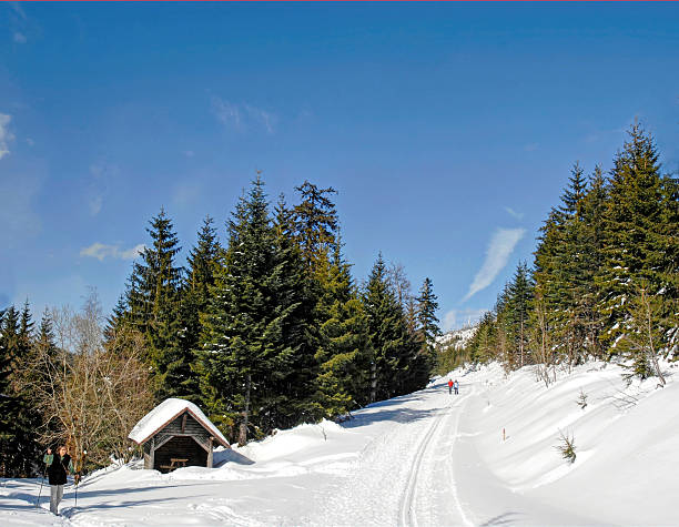 esquí de fondo de la selva negra - cross country skiing black forest germany winter fotografías e imágenes de stock