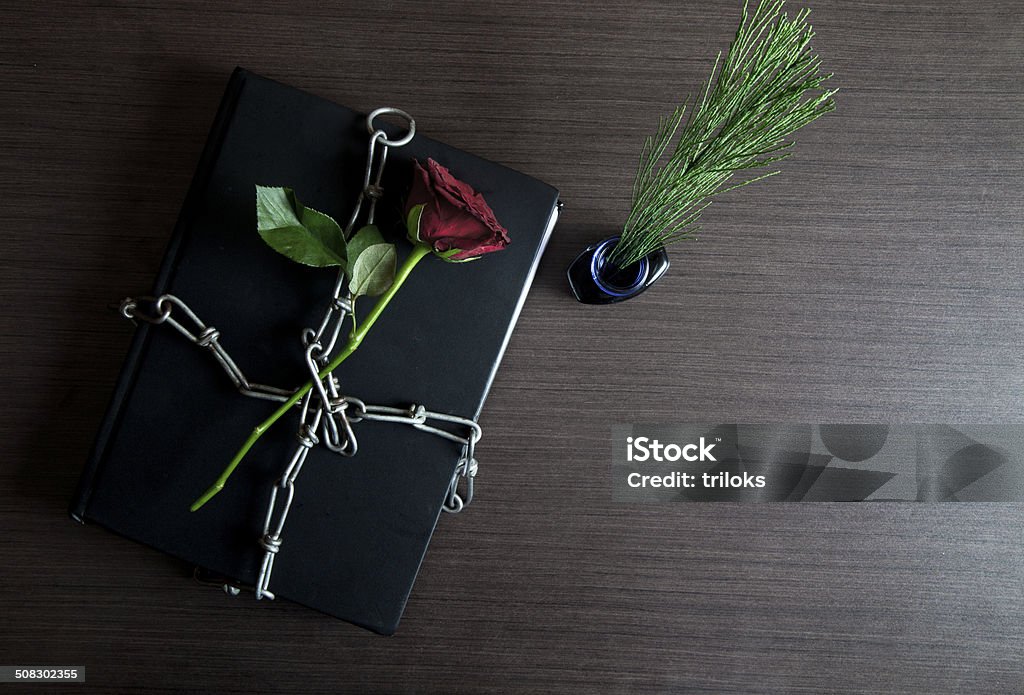 Красная роза в дневник - Стоковые фото Безопасность роялти-фри