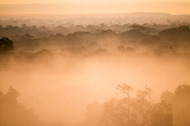 istock Rare mist in the Masai Mara, Kenya 508302517