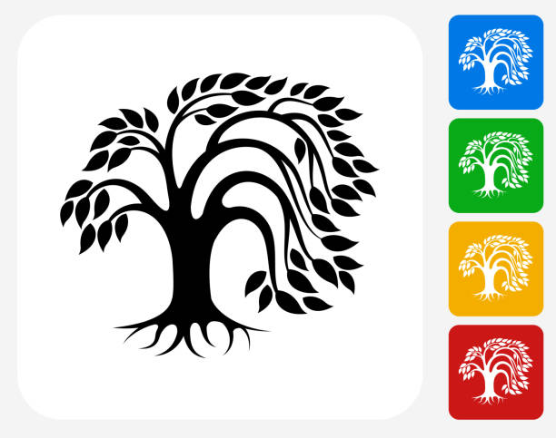Tree Icon Flat Graphic Design Tree Icon. This 100% royalty free vector illustration features the main icon pictured in black inside a white square. The alternative color options in blue, green, yellow and red are on the right of the icon and are arranged in a vertical column. willow tree stock illustrations