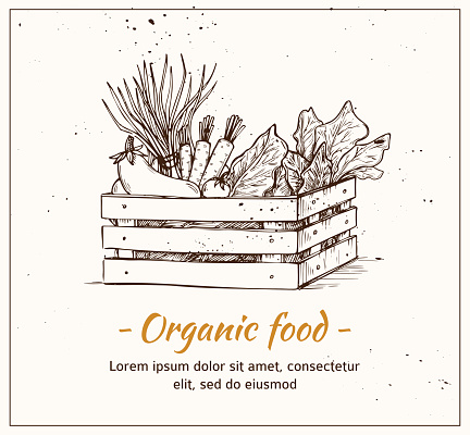Hand drawn vector illustration - Fresh vegetables. Supermarket. Grocery store. Organic and vegan food.
