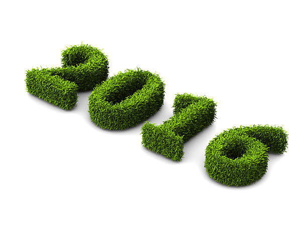 istock 2016 new year grassed concept isolated on white background 508317828