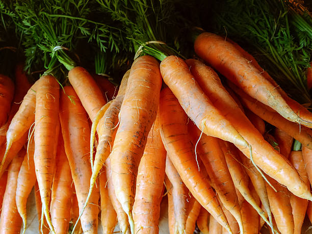 istock Fresh carrots from the summer garden 508318764