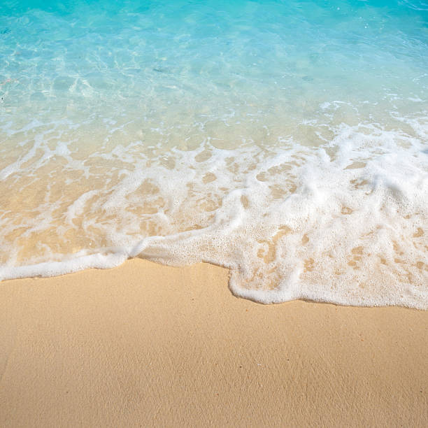 istock Beautiful tropical sand beach against the blue sky. 508319112