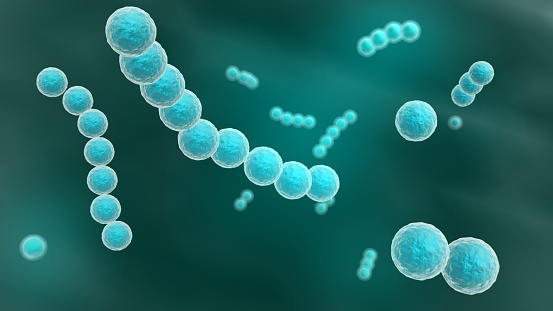 3d rendered close up of streptococcus