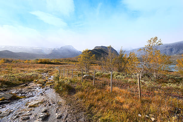 istock view on mountain stream in Norway 508321558