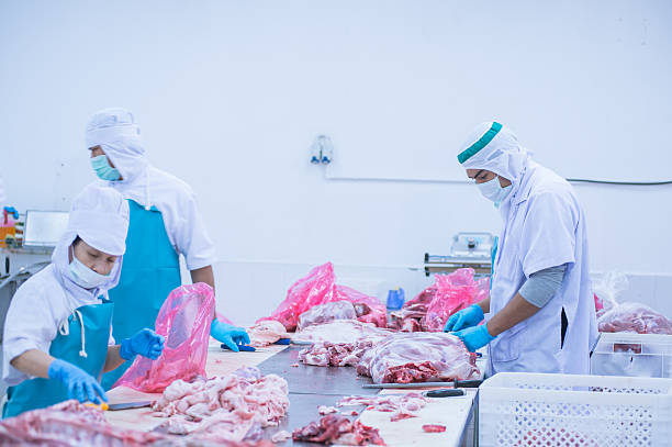 istock cutting meat slaughterhouse workers in the factory 508323038