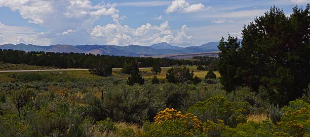 istock Fishlake National Forest Scene 508323584