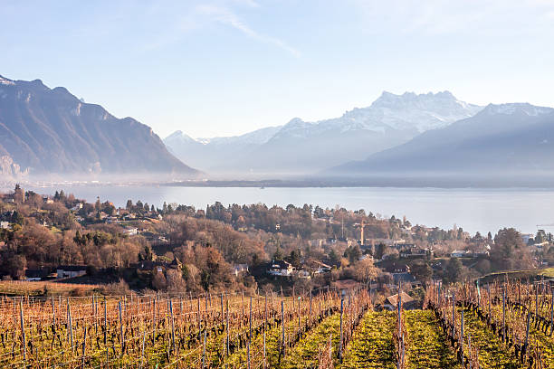 istock Beautiful view on Geneva Lake and Alps 508327728
