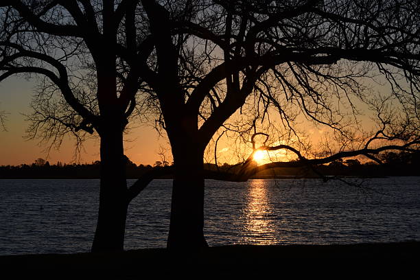 istock Sunset at Lake Wendouree 508327746