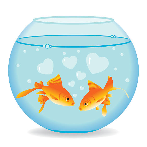 Fishes in Love Fishes in Love. EPS10 layers (removeable) and alternate formats (hi-res jpg, pdf).  goldfish bowl stock illustrations