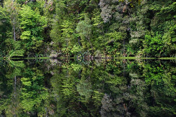 istock Mirror Tarn,  New Zealand 508328832