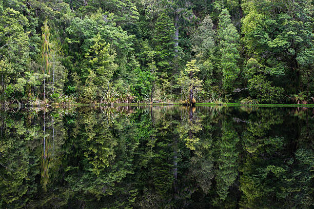 istock Mirror Tarn,  New Zealand 508338908