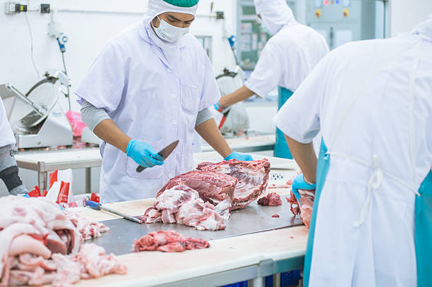 cutting meat slaughterhouse workers in the factory cutting meat slaughterhouse workers in the refrigerator slaughterhouse photos stock pictures, royalty-free photos & images