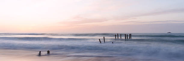 St. Clair Beach in Dunedin, New Zealand old jetty piles at St. Clair Beach in Dunedin at dawn old jetty dunedin stock pictures, royalty-free photos & images