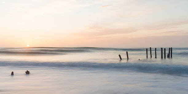 St. Clair Beach in Dunedin, New Zealand old jetty piles at St. Clair Beach in Dunedin at dawn old jetty dunedin stock pictures, royalty-free photos & images