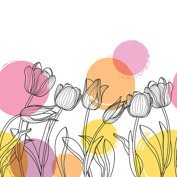 Black and white hand drawn tulip flowers and watercolor blots. Vector floral seamless horizontal background. Black and white hand drawn tulip flowers and watercolor blots. Spring background for greeting cards, textile print, banners and decoration. bouquet backgrounds spring tulip stock illustrations