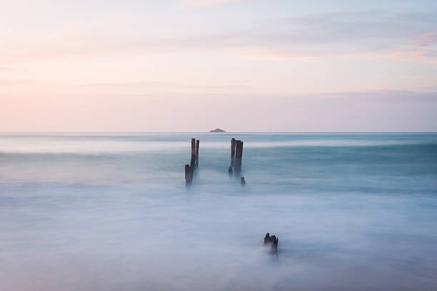 St. Clair Beach in Dunedin, New Zealand old jetty piles at St. Clair Beach in Dunedin at dawn old jetty dunedin stock pictures, royalty-free photos & images