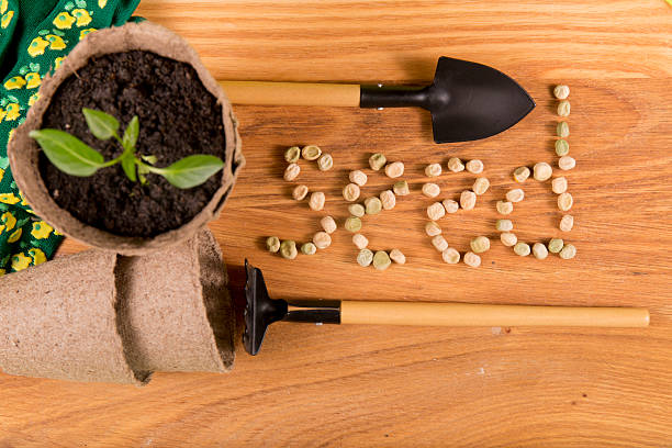 istock inscription seeds from garden tools 508342986