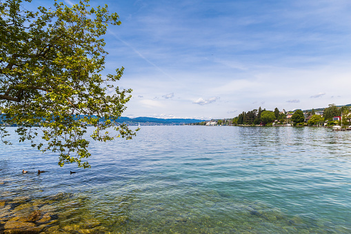 Beautiful view of Zurich Lake with ducks and trees in foreground, Switzerland.