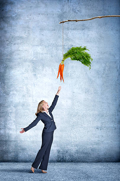 femme d'affaires atteignant pour agiter des carottes sur un bâton - stick dangling a carrot carrot motivation photos et images de collection