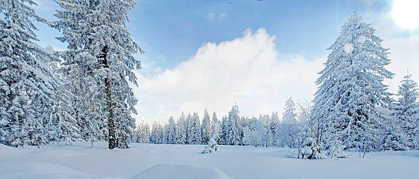 istock Winter in the Black Forest 508348895