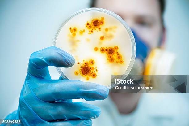 Infección Y Control De La Enfermedad Foto de stock y más banco de imágenes de Enfermedad contagiosa - Enfermedad contagiosa, Placa de Petri, Bacteria