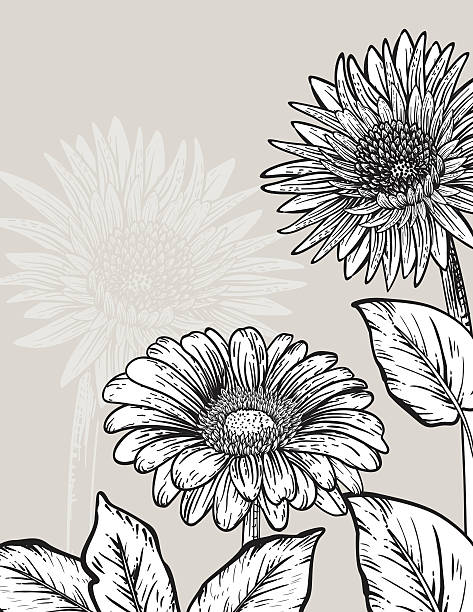 illustrazioni stock, clip art, cartoni animati e icone di tendenza di modello di carta fiori botanico - wedding invitation invitation formalwear flower