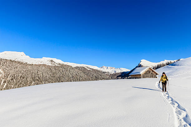 Woman walking in the Natural Park Paneveggio - Pale di San Martino. The protected area established in 1967 includes the Trentino group of Dolomites of the Pale di San Martino, the eastern sector of the Lagorai massif and the spruce forest of Paneveggio. Trentino-Alto Adige, Italy.