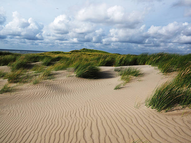 san dunes na ilha de wadden texel, holanda - wadden wadden sea unesco world heritage site sea - fotografias e filmes do acervo