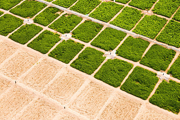 istock farm in the desert 508352915