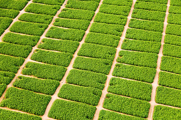 istock farm in the desert 508353161