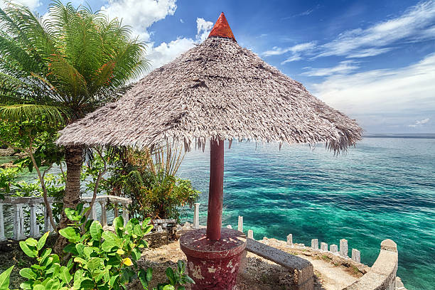istock Tropical island beach landscape 508353628