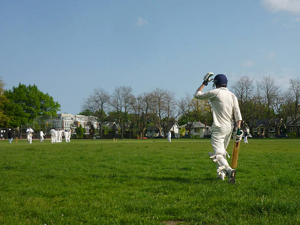 Cricket batsman, shot from behind heading out to bat A wicket has just fallen in a cricket match, and the new Batsman heads out onto the field to face up. cricket player photos stock pictures, royalty-free photos & images