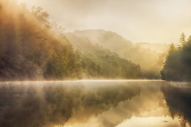 Wilderness Lake small foggy lake deep in the wilderness appalachia stock pictures, royalty-free photos & images