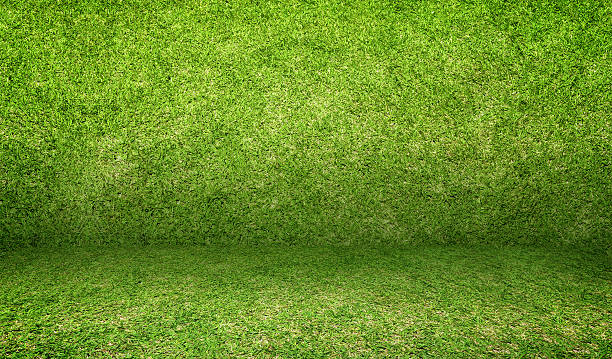 istock Empty grass room,Mock up template for display of product 508355592