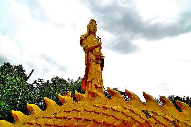 guan yin - quan yin stock-fotos und bilder