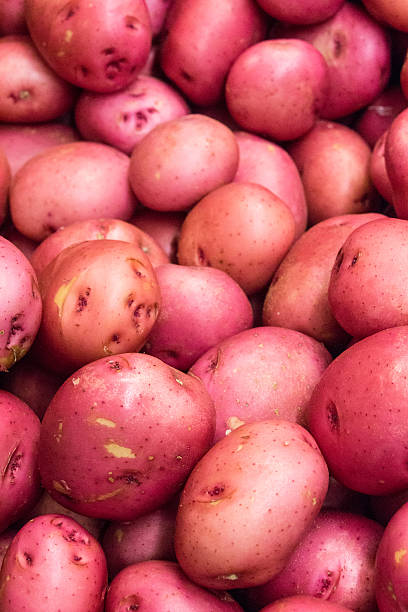 istock Pile of red potato 508375890