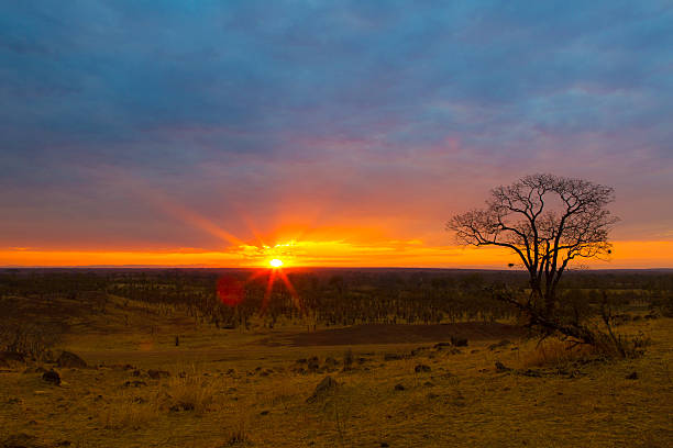 istock sunset in south luangwa 508377173
